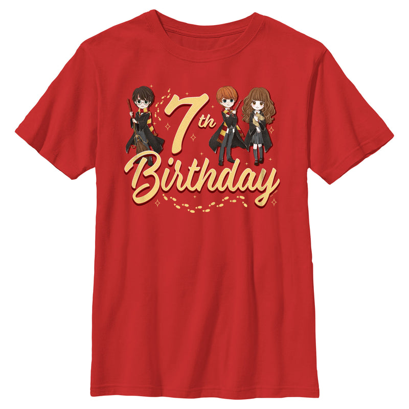 Boy's Harry Potter 7th Birthday Friends T-Shirt