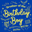 Men's Harry Potter Birthday Boy Brother T-Shirt