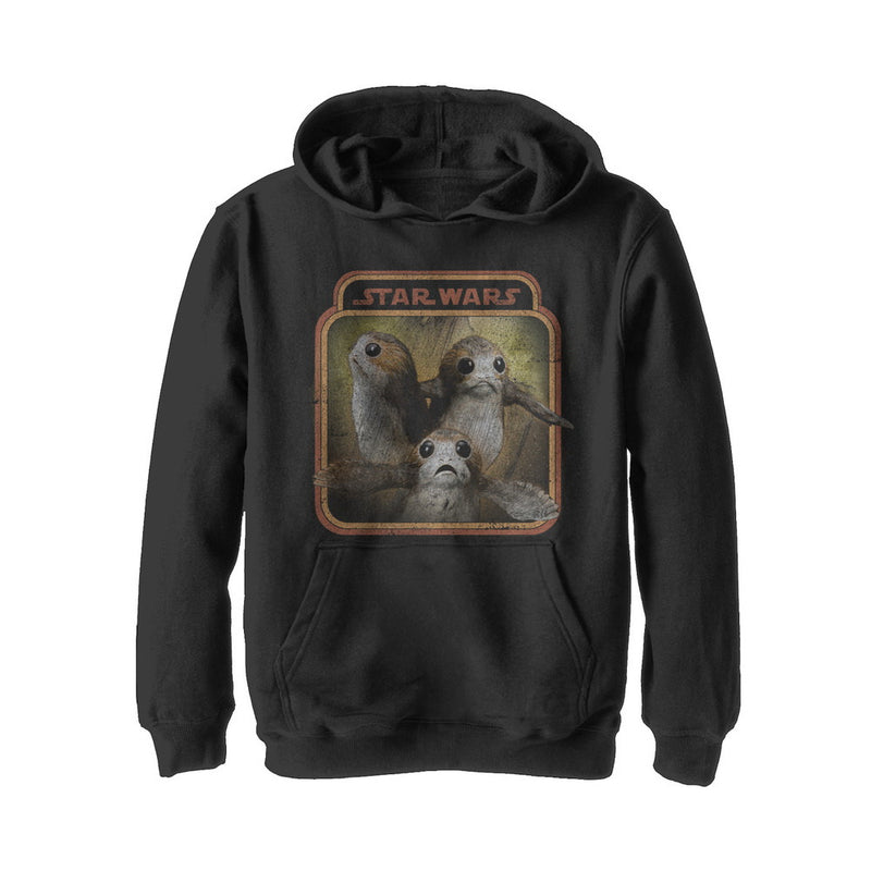 Boy's Star Wars The Last Jedi Porgs Frame Pull Over Hoodie